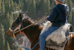 Horse-riding excursion along the Pacific coast